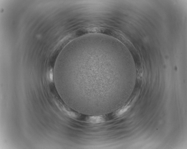 X0000070370095200606161328