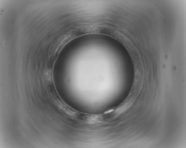 X0000070370096200606161328