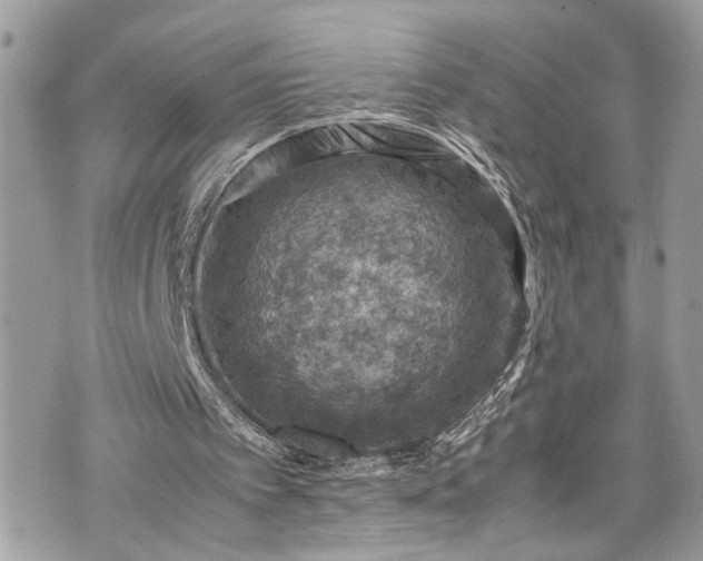 X0000070370097200606161327