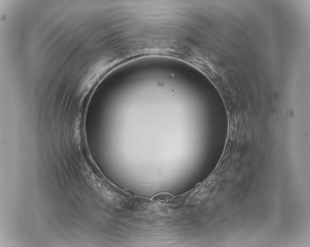 X0000070370098200606161327