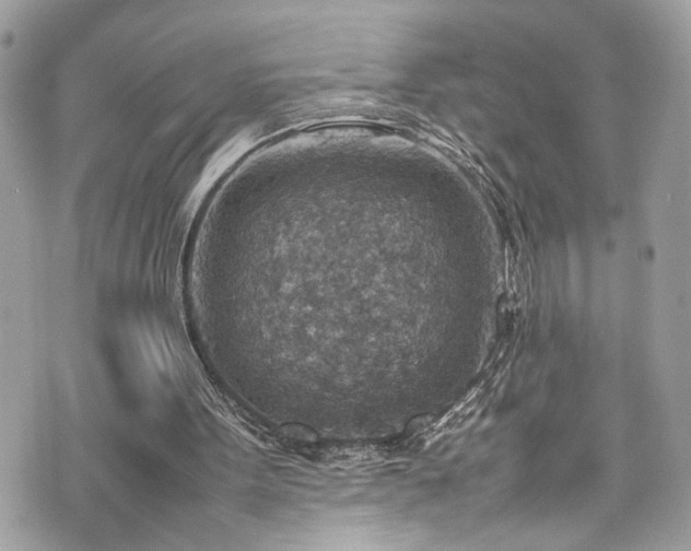 X0000070370099200606161327