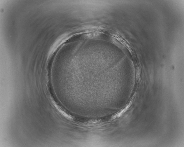 X0000070370101200606161327