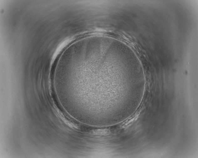 X0000070370102200606161327