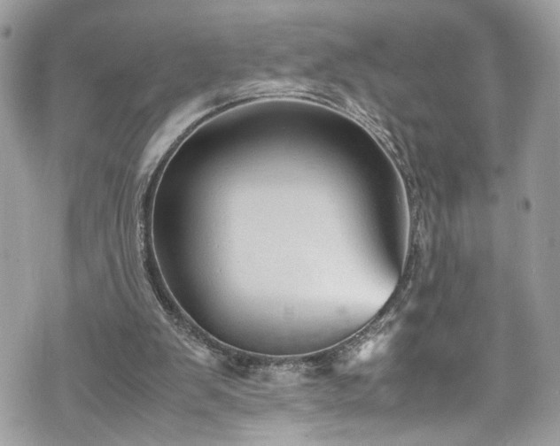 X0000070370103200606161327