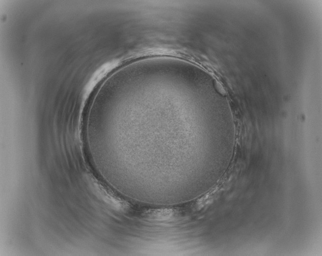 X0000070370104200606161327