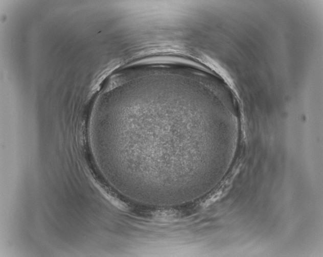 X0000070370105200606161327