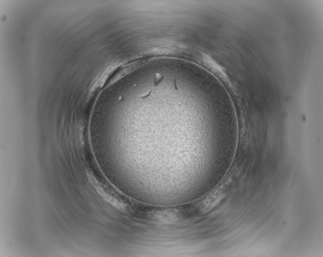 X0000070370106200606161327