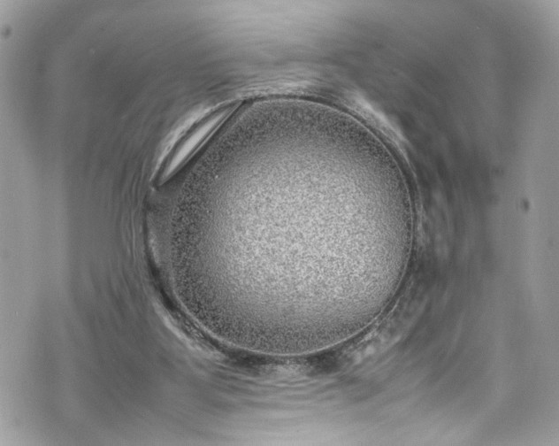 X0000070370107200606161327