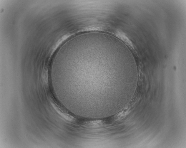 X0000070370108200606161327