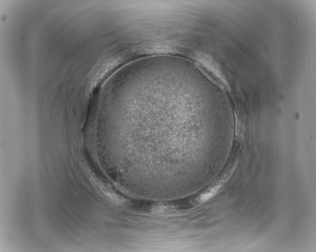 X0000070370109200606161327