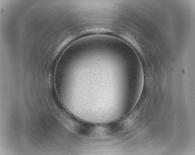 X0000070370111200606161327