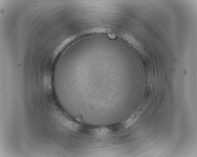 X0000070370112200606161327