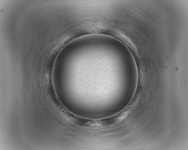 X0000070370113200606161327