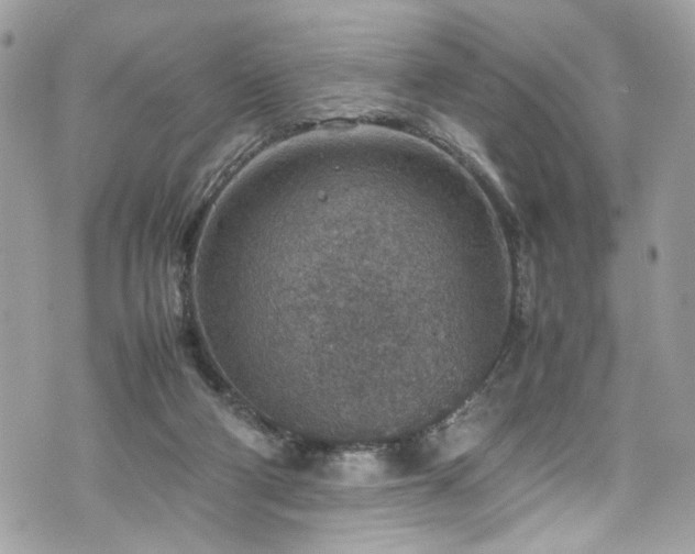 X0000070370114200606161327