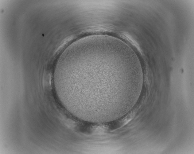 X0000070370115200606161327