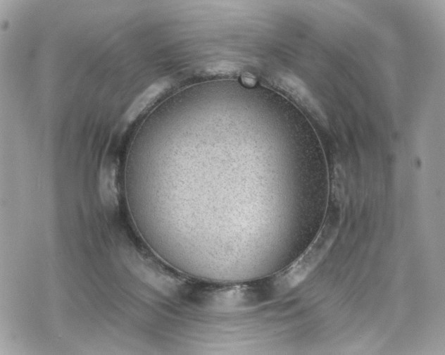 X0000070370116200606161327