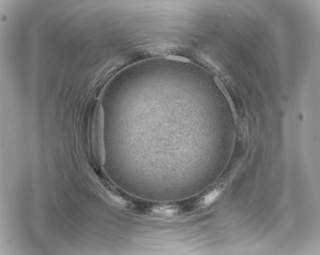 X0000070370117200606161327