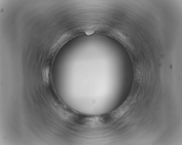 X0000070370118200606161327