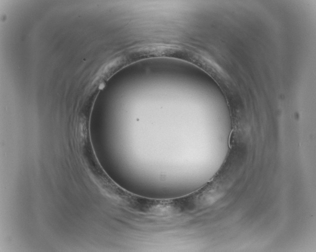 X0000070370119200606161327