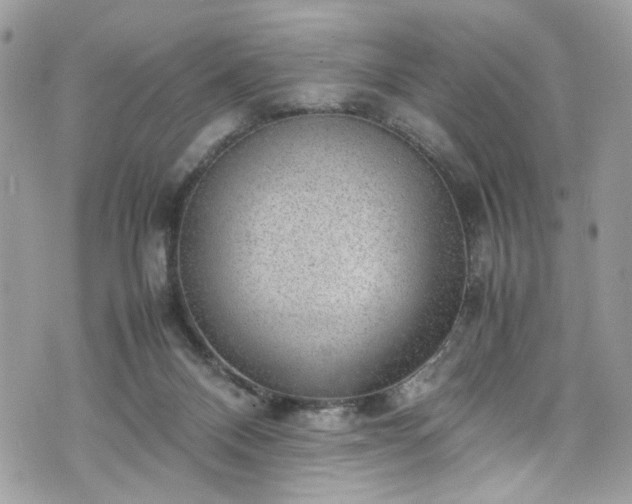 X0000070370120200606161327