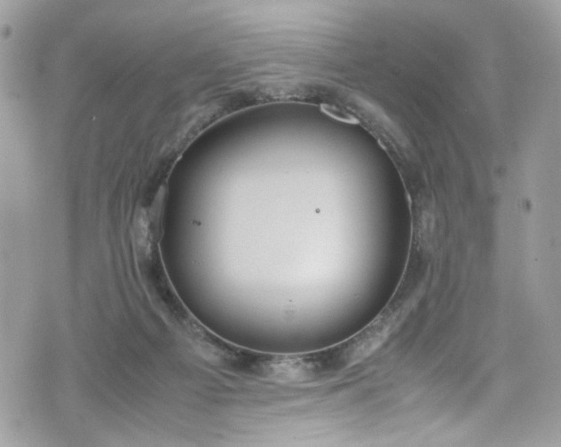 X0000070370121200606161327