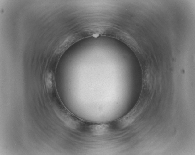 X0000070370122200606161327