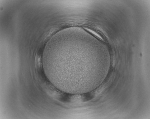 X0000070370123200606161327