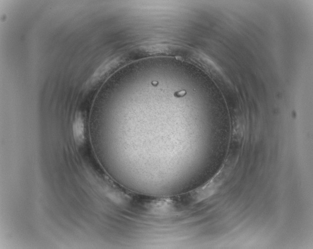 X0000070370124200606161327