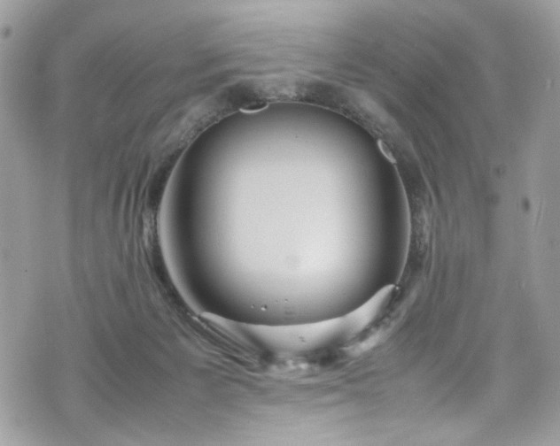 X0000070370125200606161327