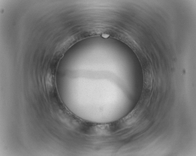 X0000070370126200606161327