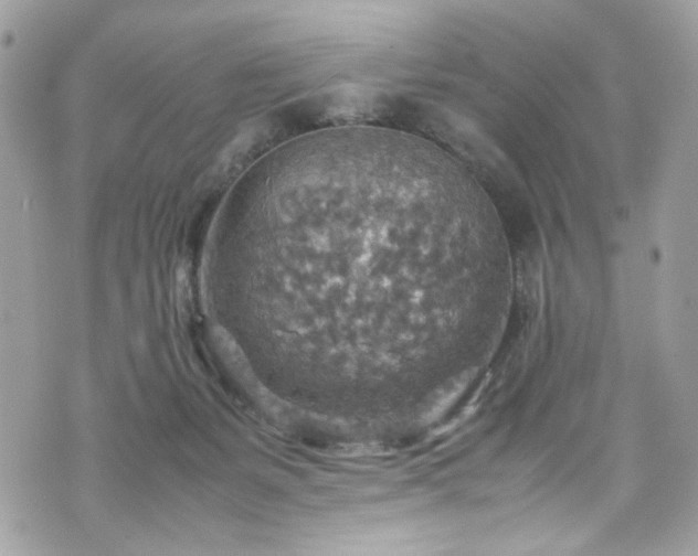 X0000070370127200606161327