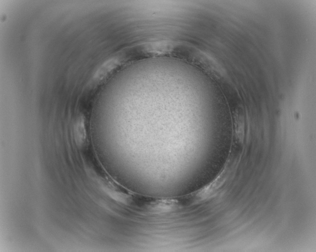 X0000070370128200606161327