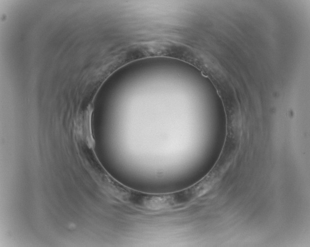 X0000070370129200606161327