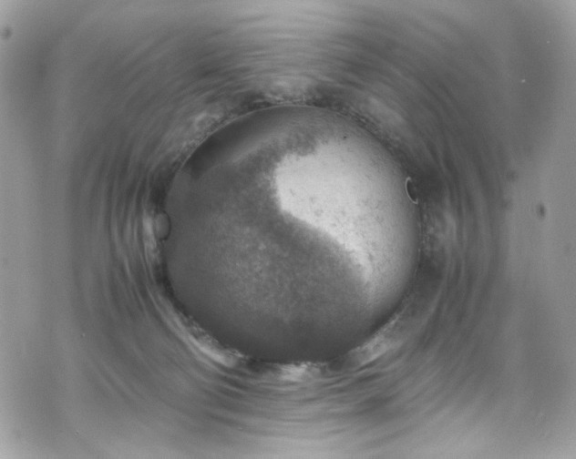 X0000070370130200606161327