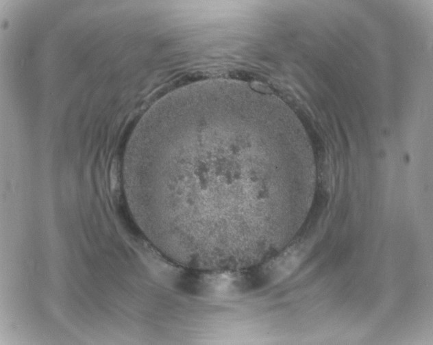 X0000070370131200606161327