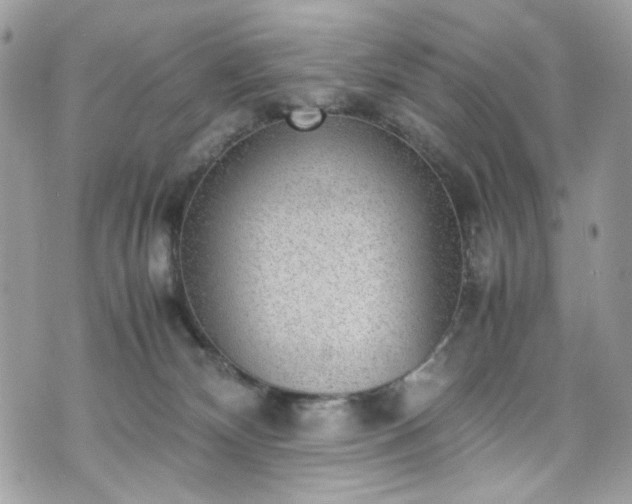 X0000070370132200606161327