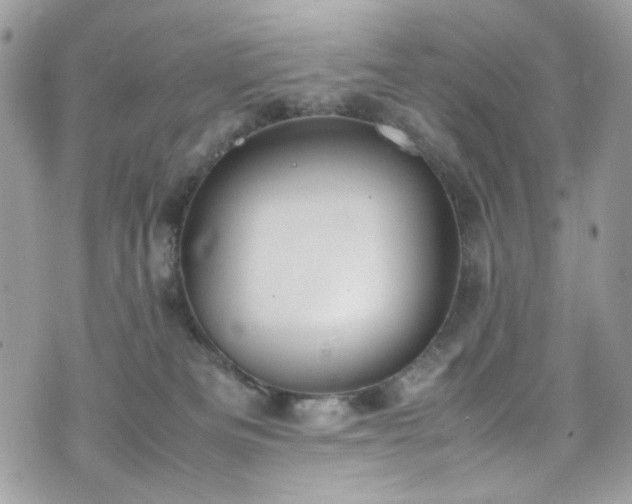 X0000070370133200606161327