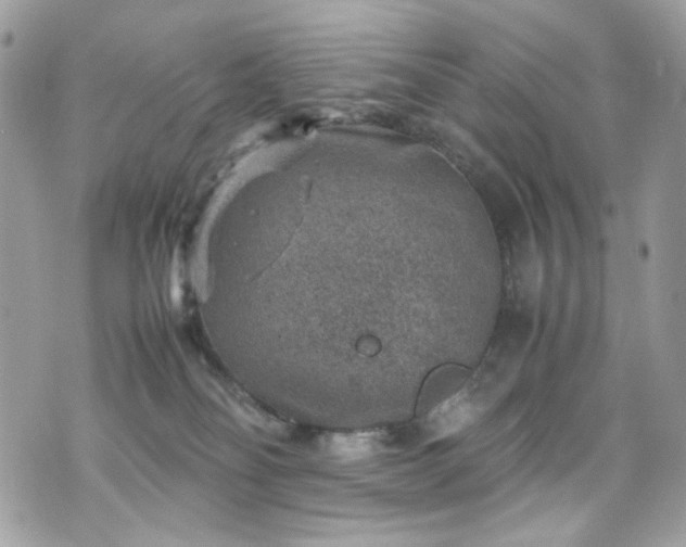 X0000070370134200606161327