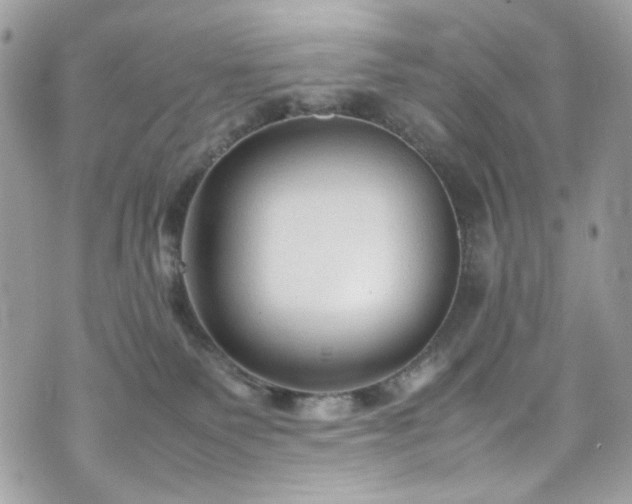 X0000070370135200606161327