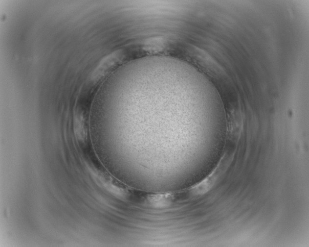 X0000070370136200606161327