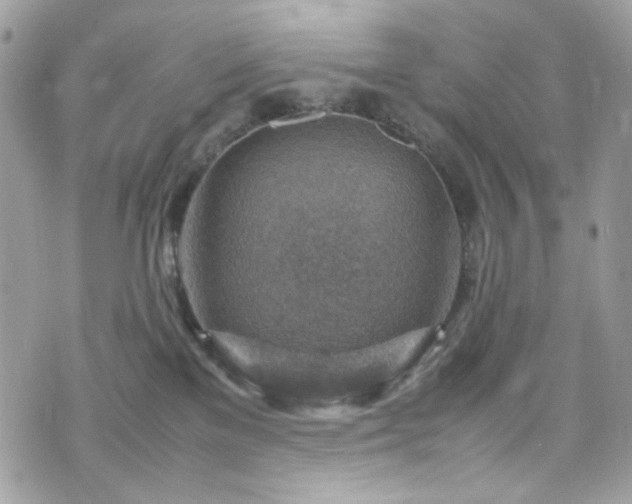 X0000070370137200606161327