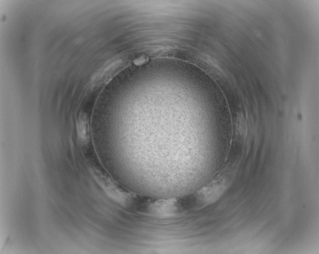 X0000070370138200606161327