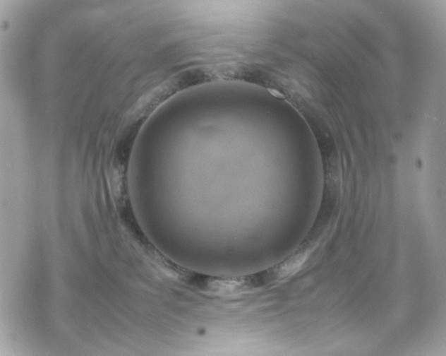 X0000070370139200606161327