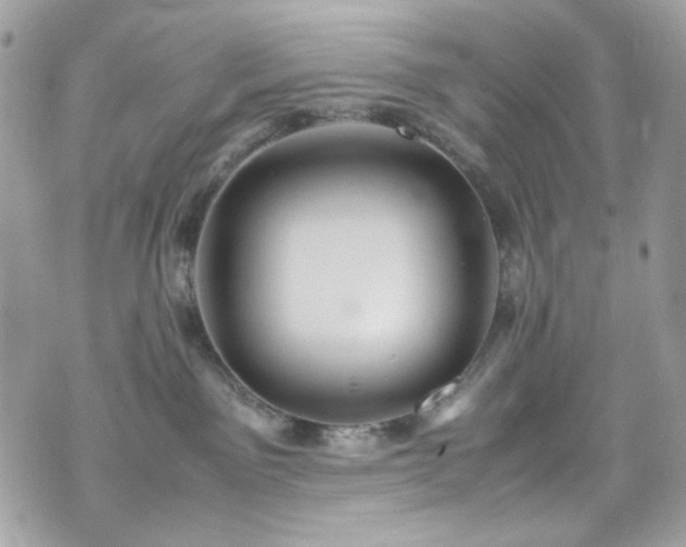 X0000070370141200606161327