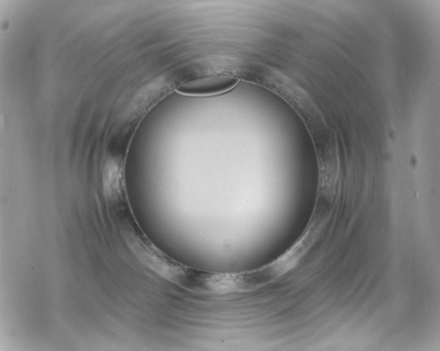 X0000070370142200606161327