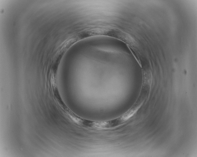 X0000070370143200606161327