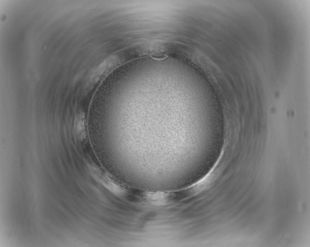 X0000070370144200606161327