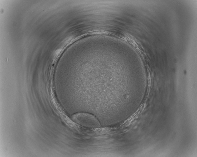 X0000070370145200606161326