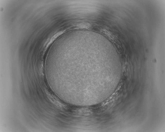 X0000070370146200606161326