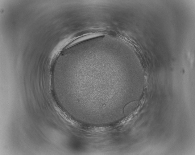 X0000070370149200606161326